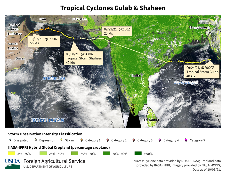 images\Year_2021\September\Cyclones\Southern Asia\Shaheen_thumb.png